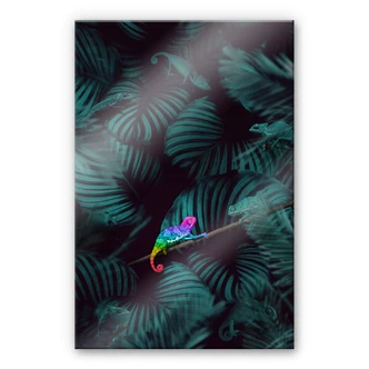 Plexiglas Loose - Proud to be different 