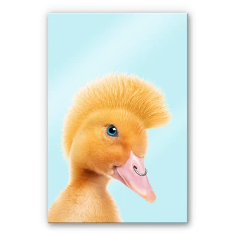 Plexiglas Loose - Rebel Duckling 