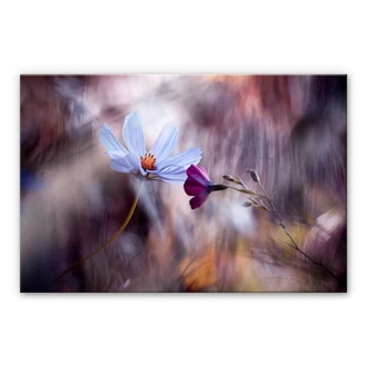 Pleiglas Bravin - Rendezvous of Two Flowers Pleiglas Bravin - Rendezvous of Two Flowers