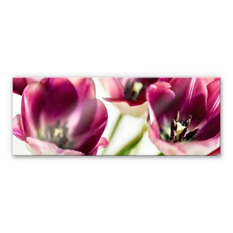 Acrylglas Bsmart - Tulips 