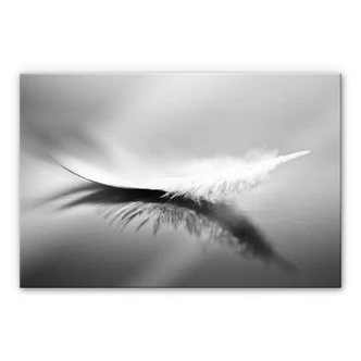 Acrylglasbild Coutinho - Schwerelos 