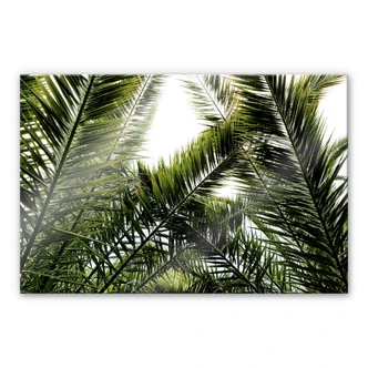 Acrylic - Palm Trees 