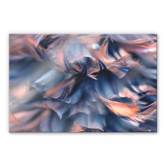 Acrylglasbild Federkleid 