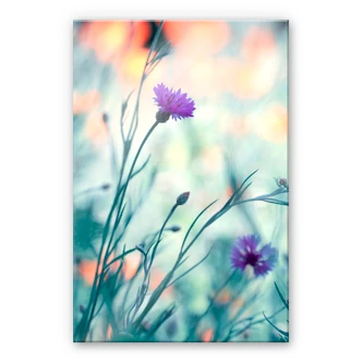 Acrylglas Bravin - Lichtgevend paars Acrylglas Bravin - Lichtgevend paars