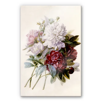 Tableau en verre acrylique - Redouté - Bouquet de roses trémières rouges, violettes et blanches 