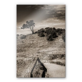 Stampa su vetro acrilico Paesaggio del mar Baltico. 