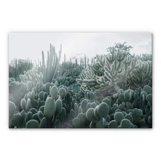 Tableau en verre acrylique Cactus 