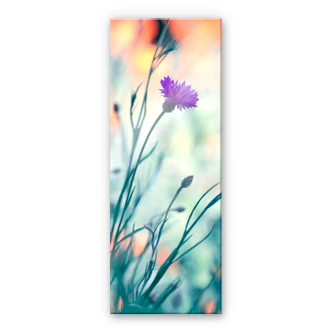 Acrylglas Bravin - Lichtgevend paars - Panorama 