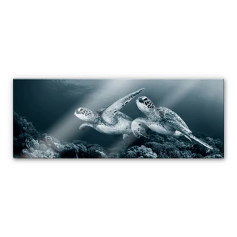 Acrylglasbild Narchuk - Zwei Schildkröten auf Reisen 