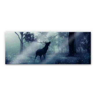 Acrylglas Hert in het Bos - Panorama 