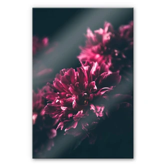 Acrylglasbild Pink Flower Dream 01 