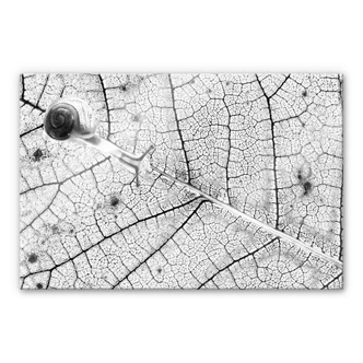 Acrylglas Bravin - Transparant Acrylglas Bravin - Transparant