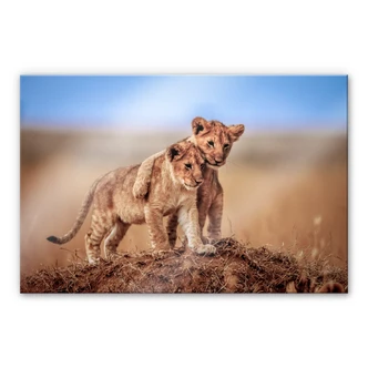 Acrylglasbild Sink - Brothers for Life 