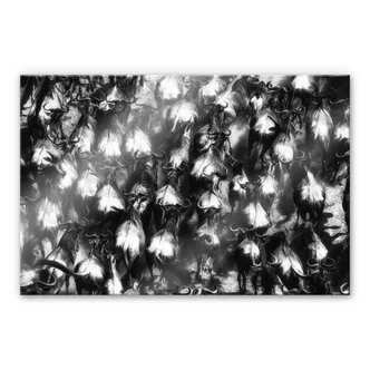 Tableau en verre acrylique - Alnaser - Grande fuite Tableau en verre acrylique - Alnaser - Grande fuite