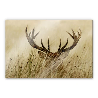 Acrylglas Waakzaam Hert 