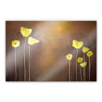 Acrylglas Melz - Gele Klaprozen 
