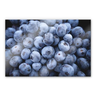 Acrylglasbild Blaubeeren 