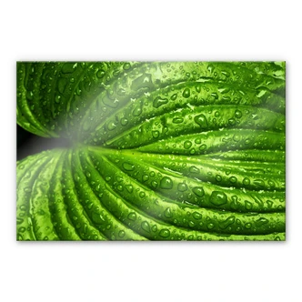 Tableau en verre acrylique - Après la pluie 