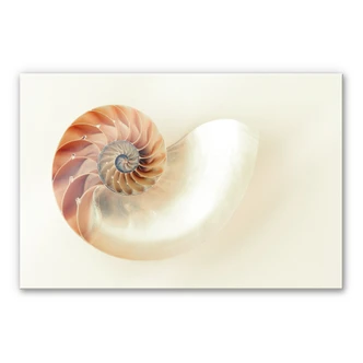 Tableau en verre acrylique Nautilus 