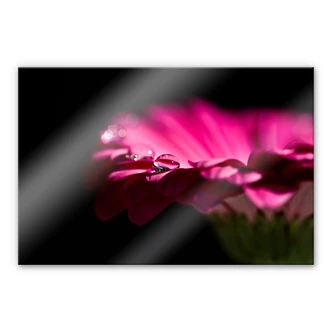 Acrylglas Waterdrop of Life 