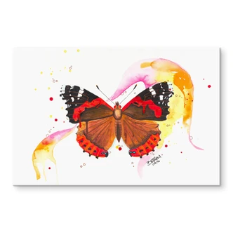 Tableau en verre acrylique - Buttafly - Vanessa Athalanta 