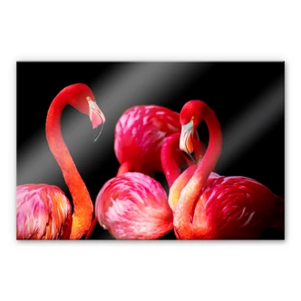 Tableau en verre acrylique - Pink Flamingo 