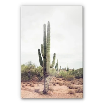 Tableau en verre acrylique Sisi & Seb - Cactus du désert 