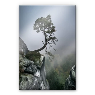 Akrylbillede Wonisch - Naturens kræfter 