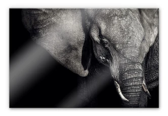 Acrylglasbild Flour - Matriarchin 