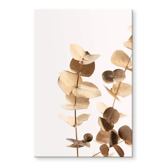 Tableau sur verre acrylique 1X Studio - Eucalyptus doré 