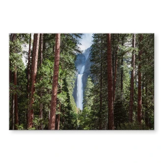 Acrylglas Waterfall Forest Acrylglas Waterfall Forest
