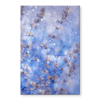 Tableau en verre acrylique Devos - Hiver précoce 