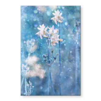 Tableau en verre acrylique Devos - Magie de la nature 