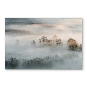 Acrylic print Galimberti - Winter fog 