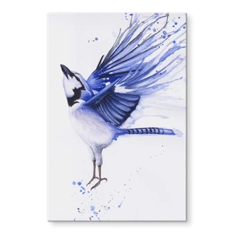 Acrylglasbild Müller - Blaumeise 