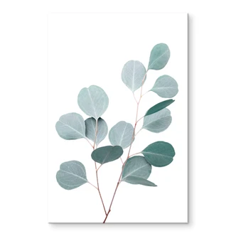 Tableau sur verre acrylique Sisi & Seb - Eucalyptus bleu 