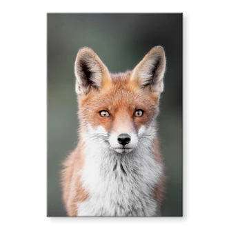 Acrylglas van Duijn - Fox Eyes Acrylglas van Duijn - Fox Eyes