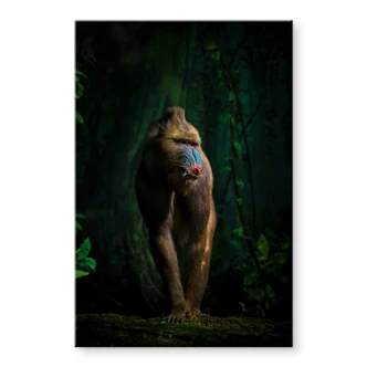 Tableau sur verre acrylique Yunta - Dans la jungle 