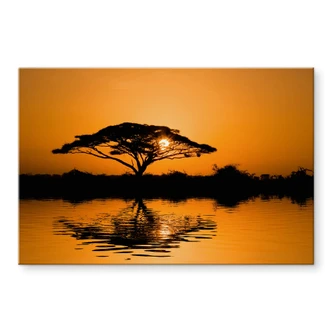 Acrylglasbild Afrika 