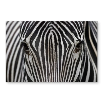 Acrylglasbild Blicke 