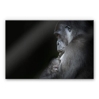 Acrylglasbild Cuadrado - Tenderness 