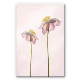 Akrylbillede Grønkjær - Sommerglæde 