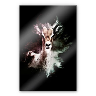 Acrylic glass picture Hugonnard - Wild Explosion: Antelope 
