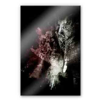 Acrylglasbild Hugonnard - Wild Explosion: Elefant 02 