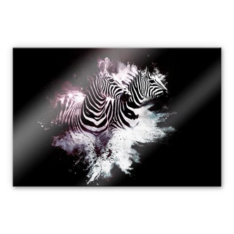 Acrylic print Hugonnard - Wild Explosion: Two zebras 