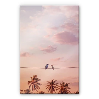 Acrylglas Loose - Hummingbirds in Love 