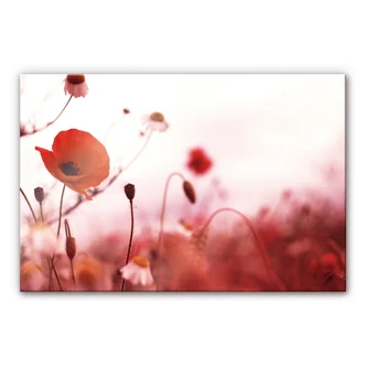 Tableau en verre acrylique - Coquelicot 