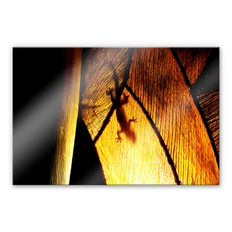 Tableau sur verre acrylique Jeu d'ombre 