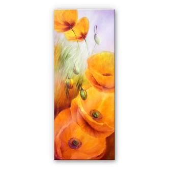 Acrylglasbild Schmucker - Mohn im Feld 