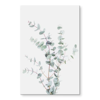 Tableau en verre acrylique Sisi & Seb - branche d'eucalyptus 